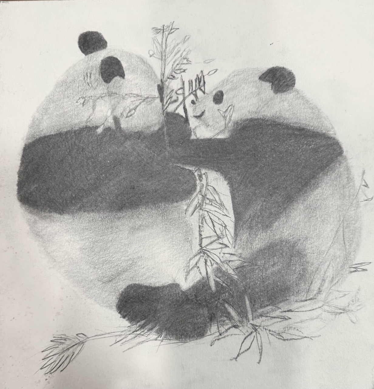 Graphite study of two pandas with bamboo