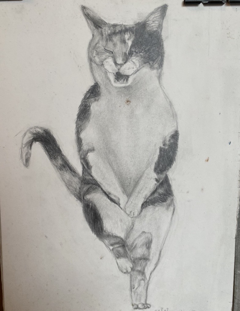 Graphite study of a relaxed seated cat